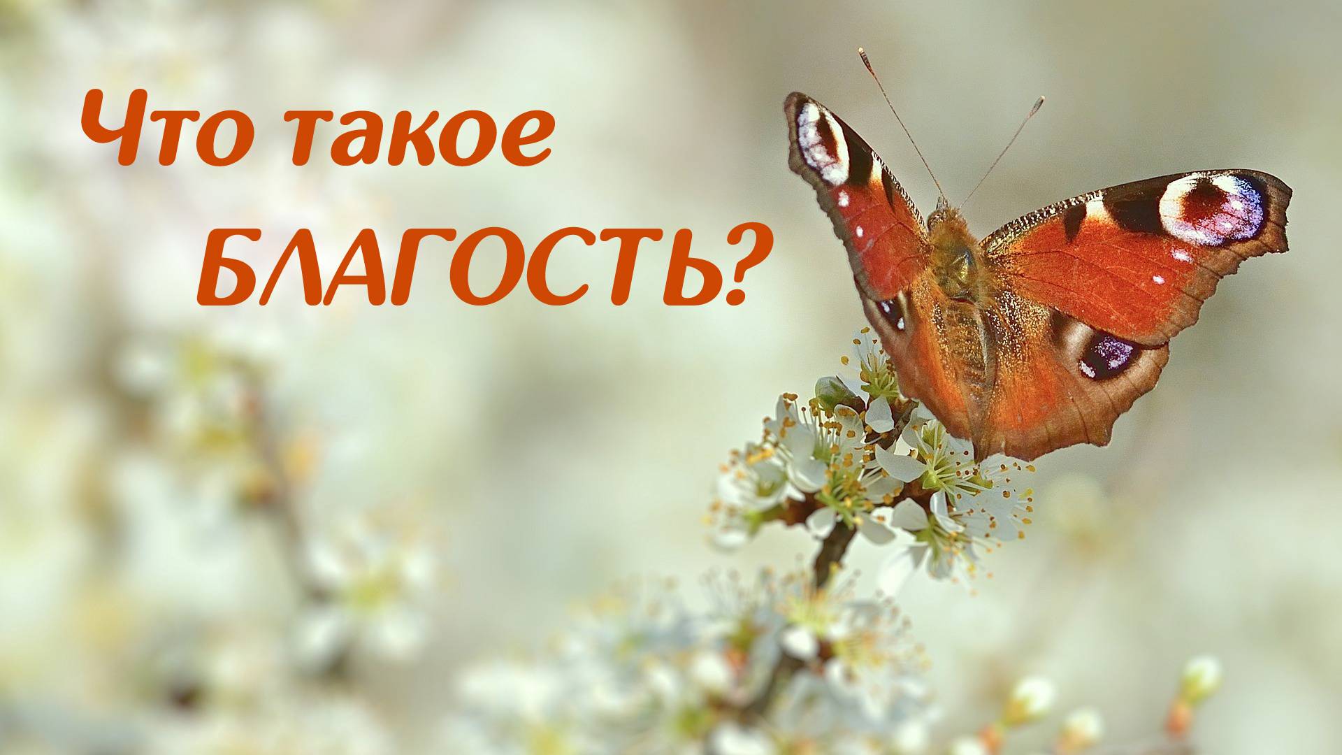 Что такое Благость? -  Медитация, релакс, гармонизация сознания