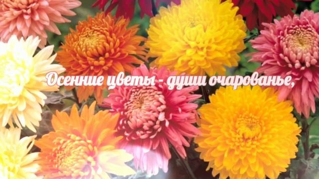 Яркие цветы осени.Осенние цветы источник радости. Музыкальная открытка смотреть онлайн