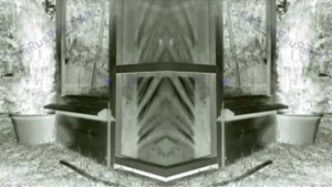 Аdvertising  Реклама Китикет Kitekat   Борис поймал пчелу In G Major 10