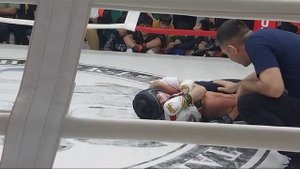 VID-20231211-WA0000.mp4