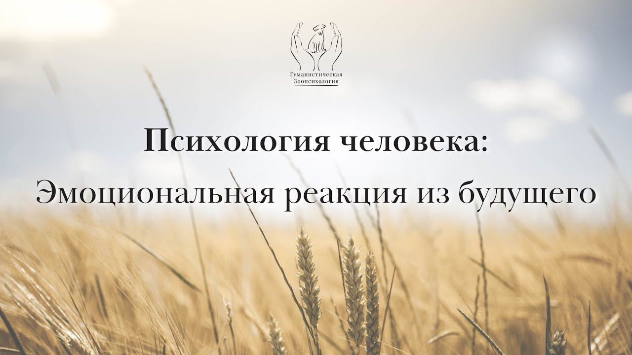Эмоциональная реакция из будущего