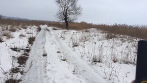 Электронный ошейник для дрессировки собак RT880: Научил команде "Ко Мне" ! Как это сделать самому?
