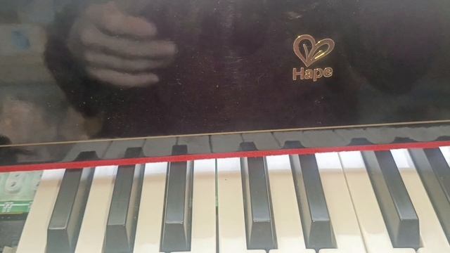 Ремонт пианино Hape