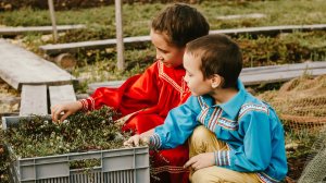 Недалеко от Ханты-Мансийска пройдёт ягодный фестиваль