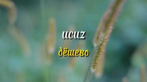 20 простых но нужных турецких слов для начинающих