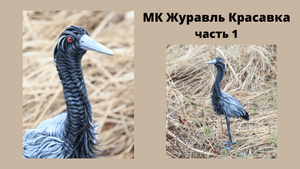 Плетеный Журавль Красавка | Мастер Класс | Плетеная Птица | Плетение из бумажной лозы | часть 1