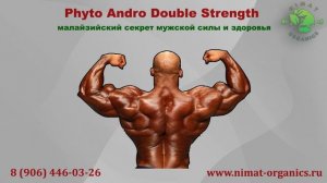 Phyto Andro для мужчин | Малазийский препарат для мужской силы