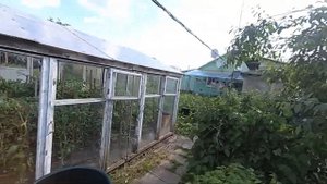 летняя обрезка вишни на урожай 2020