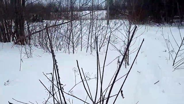 гусеничный вездеход "Бродяга". честный тэстдрайв по тяжёлому снегу смотреть онлайн