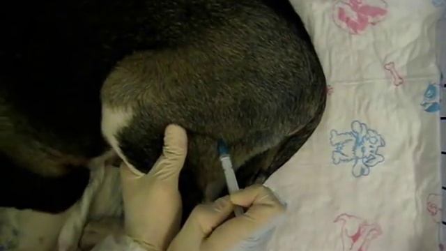 Внутримышечная инъекция