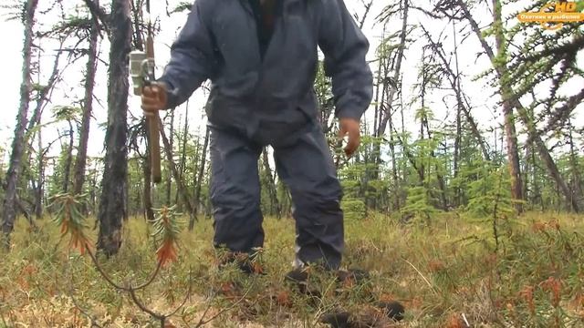 Ловля ленка и тайменя. Команда Лоц-Мэн Fishing for lenok and taimen. Team Lotz-Maine смотреть онлайн