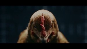 Мерседес и курицы/ Ректайм