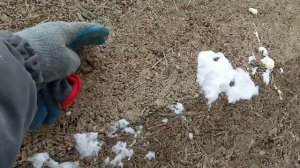 МИФ ОБ АРБОЛИТЕ РАСКРЫТ.