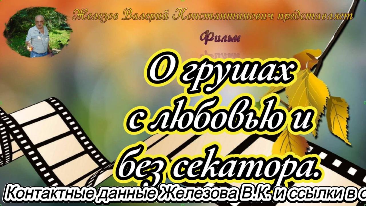 В.Железов. О грушах с любовью и без секатора.