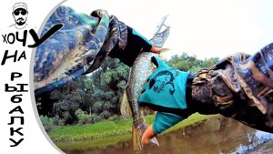 Вся щука под этой корягой! рыбалка на воблеры, щука твичингом