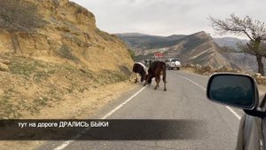 Путешествие в Дагестан апрель 2023