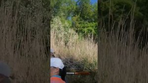 Водный сплав на байдарках Липецк