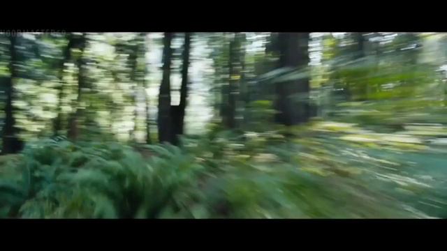 перезалив соник ехе едит смотреть онлайн