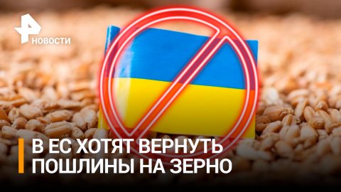 В Европе потребовали вернуть пошлины на украинское зерно / РЕН Новости