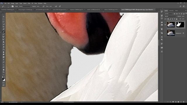 Pyrography: How I use Photoshop for my Photo references and Layout in Wood Burning смотреть онлайн