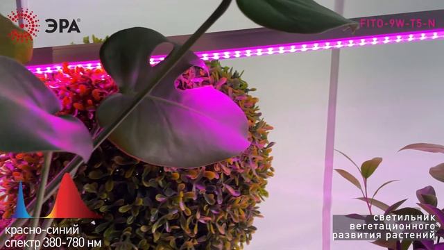 Светильник для растений ЭРА FITO-9W-Т5-N смотреть онлайн