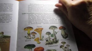 Биология 5 кл. § 14 Шляпочные грибы (Автор В.В.Пасечник)