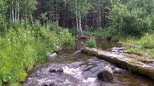 Павда, Свердловская область. Путешествие с центром "Аржаан". Места силы Северного Урала