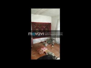 Покинутый дом в умершей деревне Рыльского района Курской области