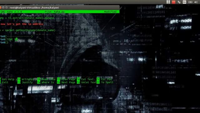 Hacking: Python Reverse DNS смотреть онлайн