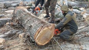 Хускварна 550хр против Штиль мс361
