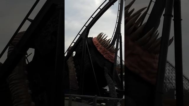 Krake, Heide Park, Deutschland/Кракен, Хайде-Парк,Германия