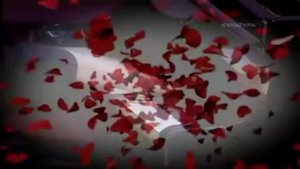 Сергей КОРЖУКОВ. ДВЕ РОЗЫ. Романс.mpg