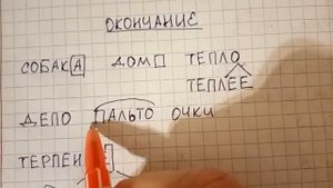 Что такое окончание и как правильно выделить окончание в слове + у каких слов окончаний нет