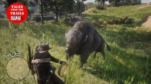 Red Dead Redemption 2: Lasso an American Bison