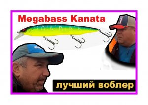 Воблер лучший для щуки Megabass KANATA