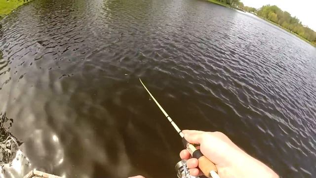 Nordic Stage Artist 702LX на рыбалке. смотреть онлайн