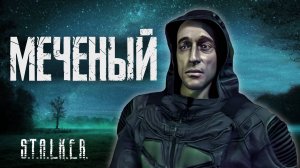 По фактам о S.T.A.L.K.E.R.: Тень Чернобыля