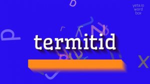 HOW TO SAY TERMITID? #termitid