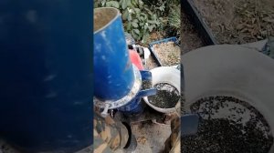 Делаю гранулы для кроликов из травы. Часть 2