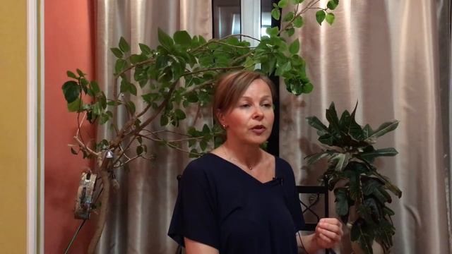 Детский психолог. Почему ребёнок не слушается?