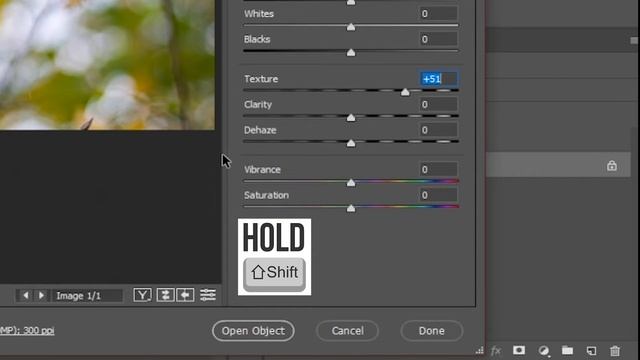 Photoshop CC Camera RAW Mistake!!! :( смотреть онлайн