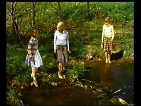 Alla vi barn i Bullerbyn (1987) TV series