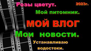 ВЛОГ. Мои новости за июнь. Продолжаю засыпку участка. Мой питомник. Клумбы в цвету. Влог.