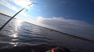 Отличная рыбалка на Рыбинском водохранилище. Осенняя рыбалка на щуку и окуня. Троллинг и в заброс.