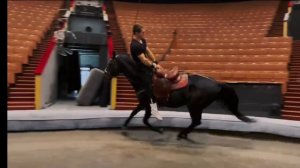 Цирк Вертушки