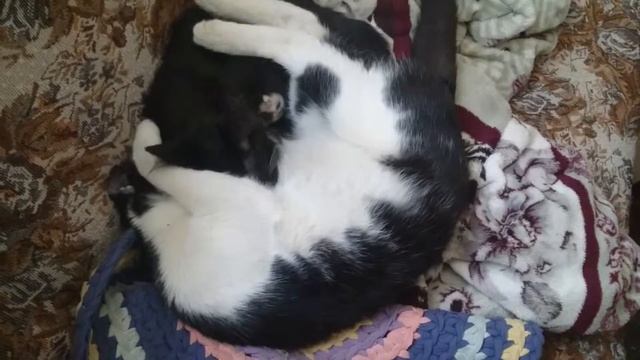 Муж и жена смотреть онлайн