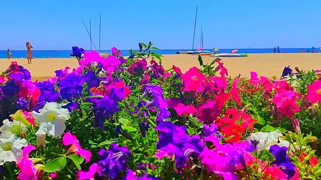 ОТ ЗАКАТА ДО РАССВЕТА НА ПОВЕСТКЕ #СУППЕР #ЛЕТО 2022 смотреть онлайн