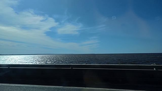 финский залив