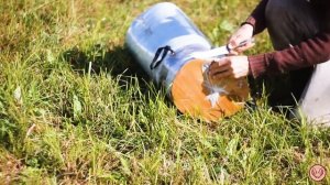 Сбор семян Мордовника шароголового.  Ловушка на пчёл. Дно с вентиляцией не спасло от сырости