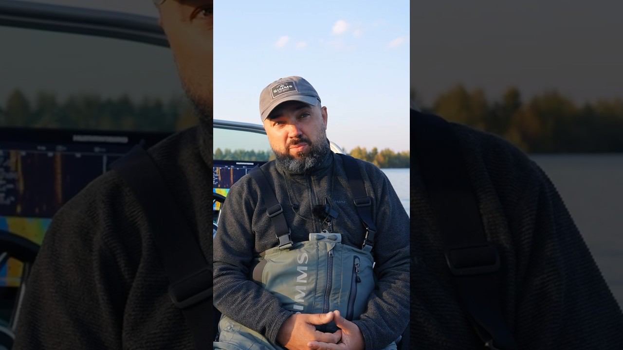 Что нужно для ловли пелагического судака? #baitbox_fishing #panoptix #ловлясудака #рыбалка